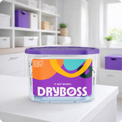 DRYBOX Confezione da 6 vaschette assorbiumidità 500 ml