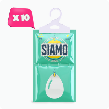 Pack 10 Bolsas Antihumedad 100g